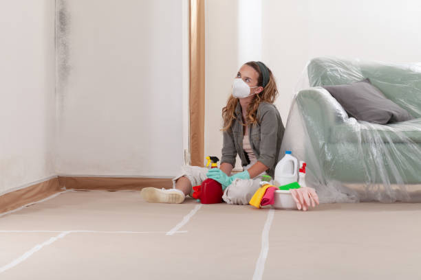 Reliable Mold Remediation contractor in Burgess, VA by Cheap Mold Removal