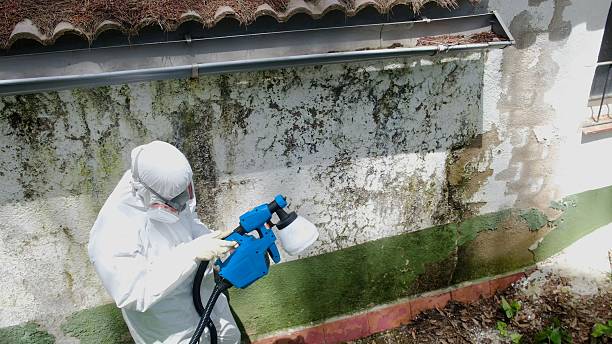 Trusted Mold Remediation service in Burgess, VA - Cheap Mold Removal